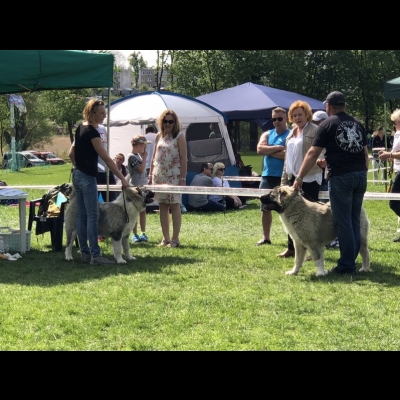 NDS DOBRE MIASTO'18 - BAGIRA i BALDUR